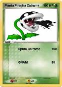 Pianta Piragha