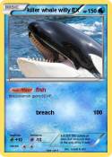 killer whale