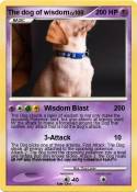 The dog of