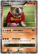 buldog