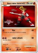 Sora valor form