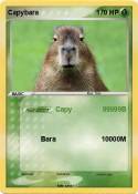 Capybara