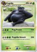 Pugrilla