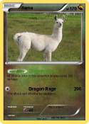llama