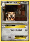 EVIL DOG