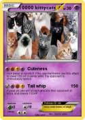 10000 kittycats