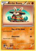 Border Bunny