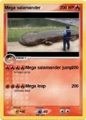 Mega salamander