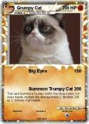 Grumpy Cat