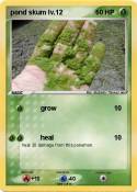 pond skum lv.12