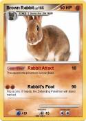 Brown Rabbit