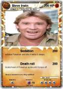 Steve Irwin
