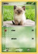 catery