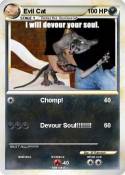 Evil Cat