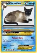 Snowshoe
