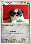 Fluffyon