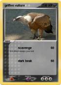 griffen vulture
