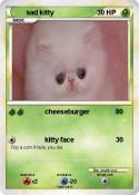 sad kitty