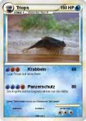 Triops
