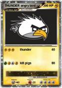THUNDER angry bird THUNDER angry