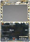 A Random Wall