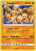 Puppies