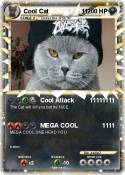 Cool Cat 11