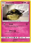 Cool turtle