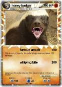 honey badger honey badger