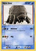 Water Bear