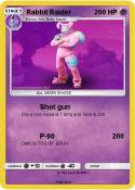 Rabbit Raider