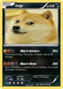 Doge
