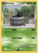 Colonel dog