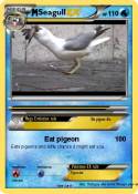 Seagull