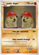 politic doges