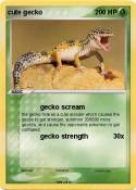 cute gecko