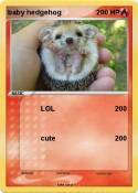 baby hedgehog