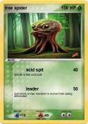 tree spider