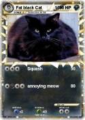 Fat black Cat