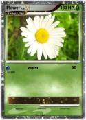 Flower Flower