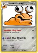 DestructorSlug