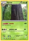 big tree