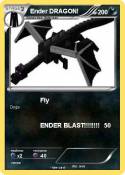 Ender DRAGON!
