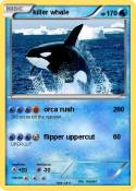 killer whale
