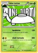 mine tortise