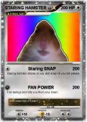 STARING HAMSTER