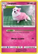 Corgiquin