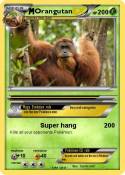 Orangutan