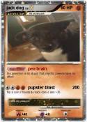 jack dog jack dog