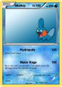 Mudkip lv.100